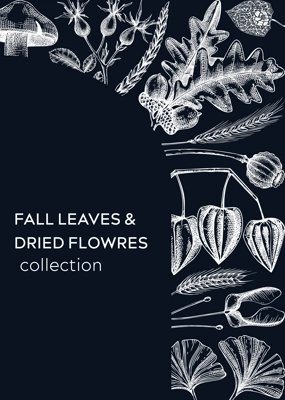 Autumn design with fall leaves and dried flowers. Thanksgiving background. Fall card or invitation. Sketched dried flowers, falling leaves, mushrooms, seeds frame. Botanical illustration on chalkboard